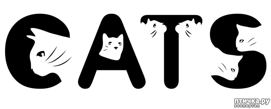 Слово кот. Буква к кошка. Буква к в форме кошки. Кошки с надписями. Слово кот в виде кота.