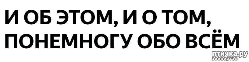 Обо всем произошедшем. Обо всём по немногу. Обо всем понемножку. Разговоры обо всем. Заголовок обо всем понемногу.