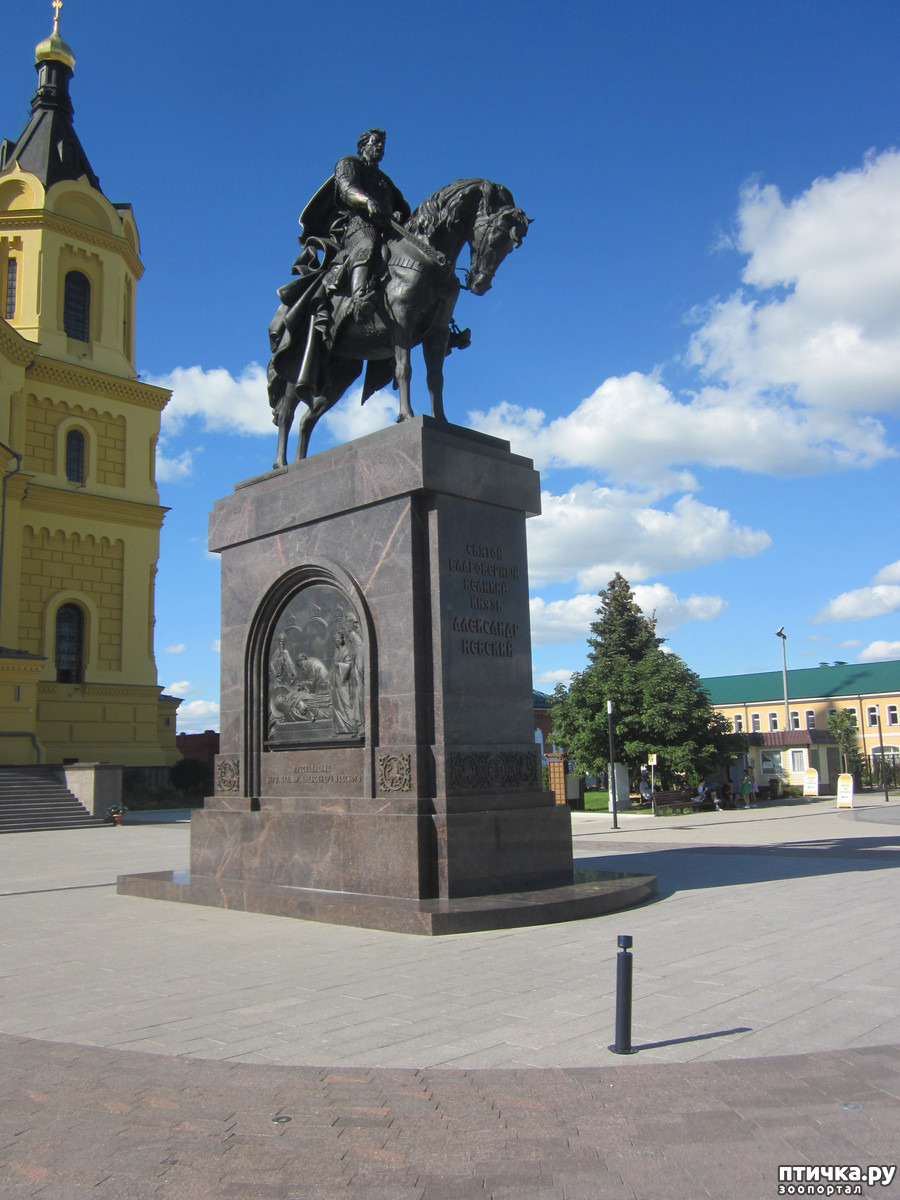 Памятник александру невскому в нижнем новгороде фото