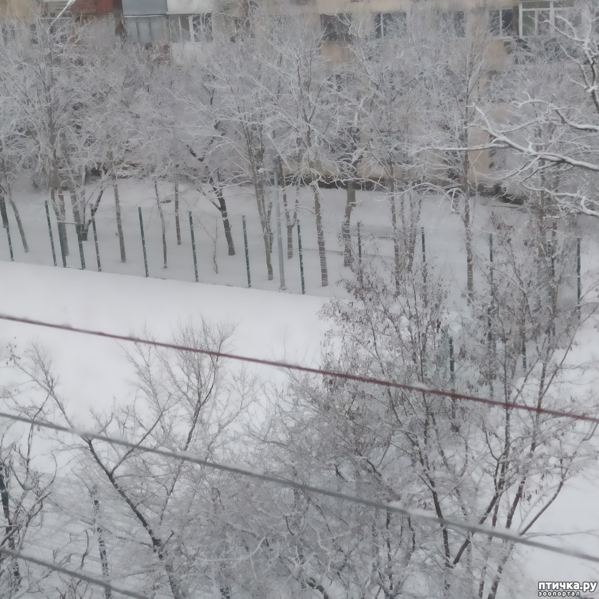 Вид из окна — обсуждение в группе 