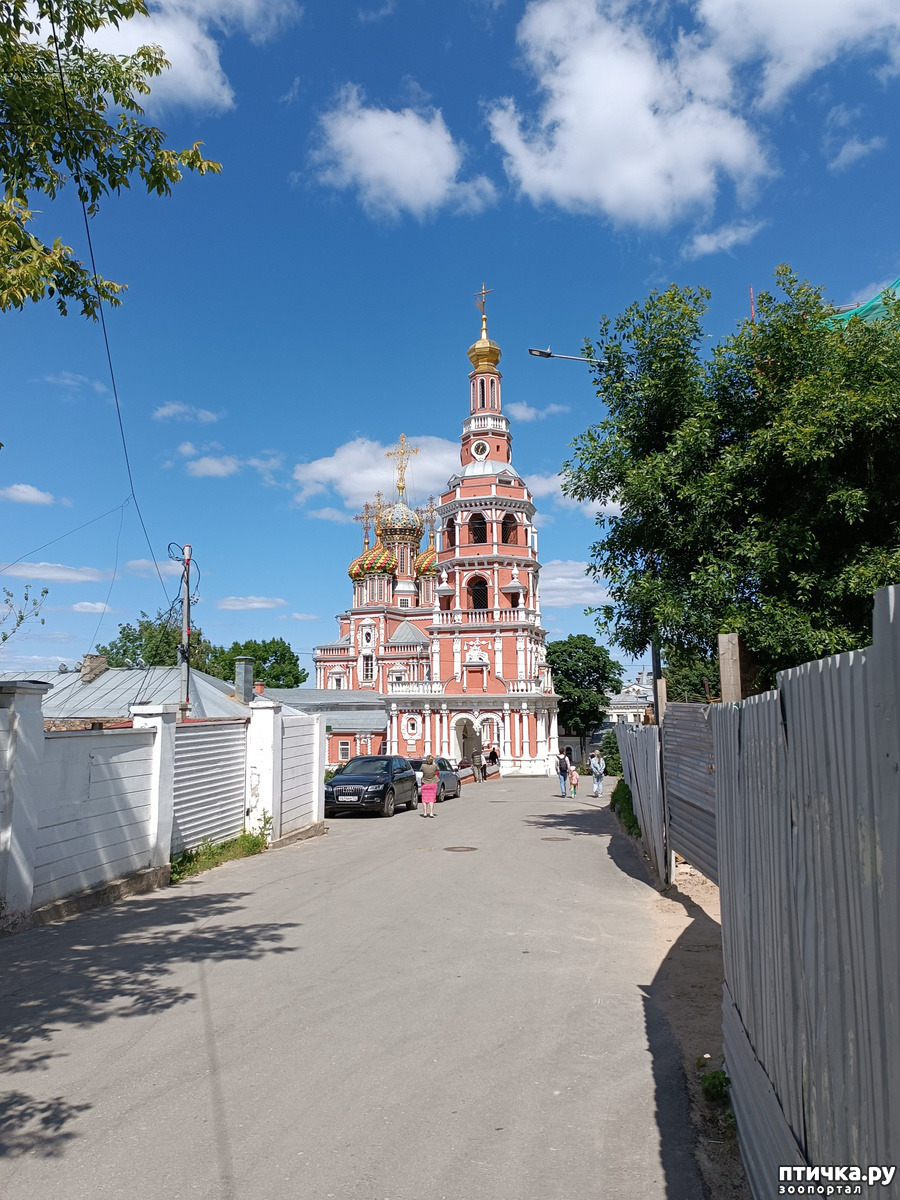 Рождественская церковь. Н. Новгород. — обсуждение в группе 