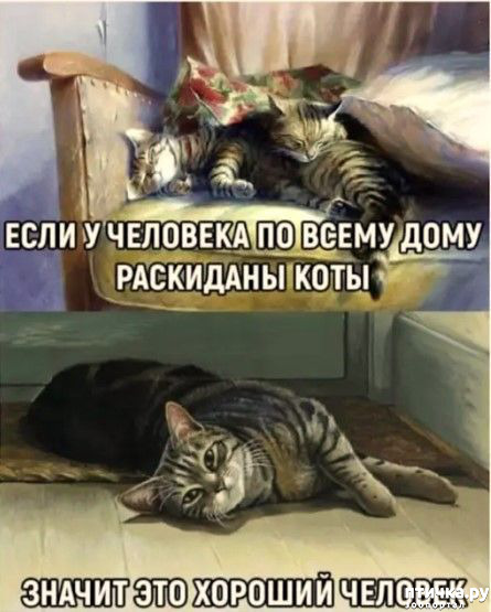 65: 