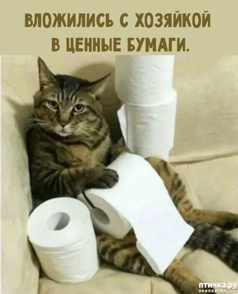  71: 