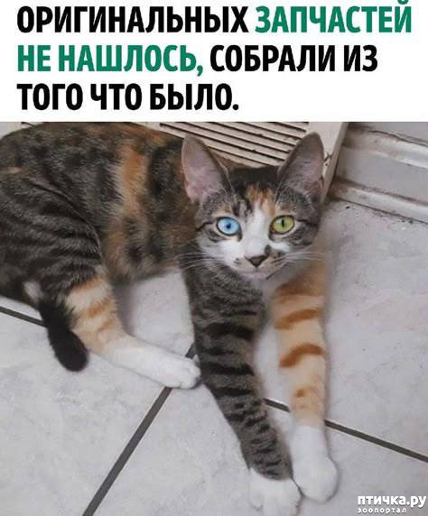  41: 