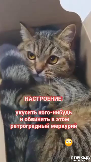  82: 