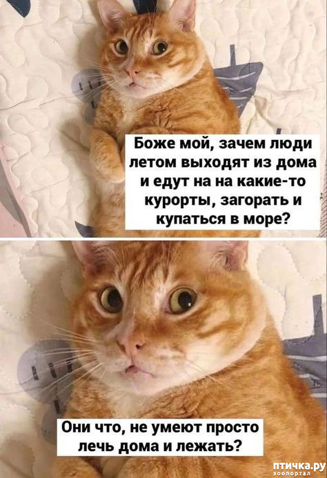  4: 